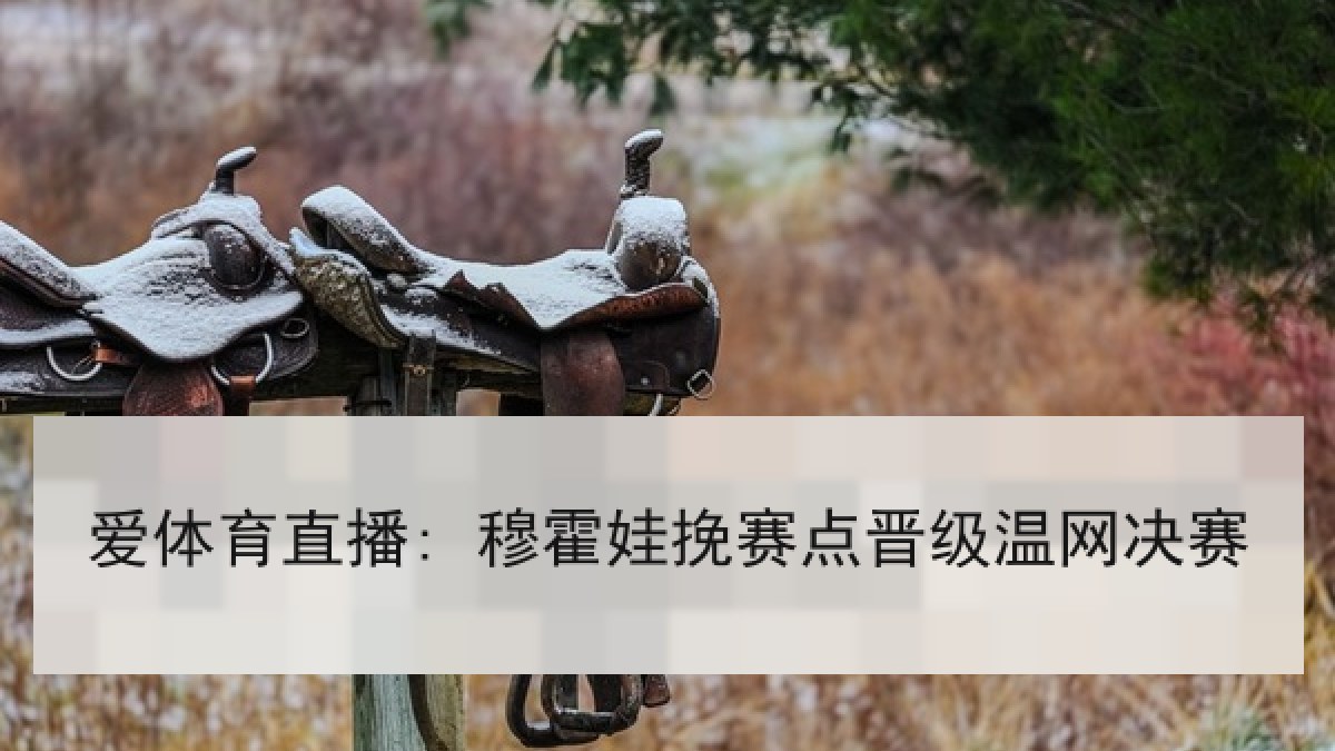 爱体育直播: 穆霍娃挽赛点晋级温网决赛
