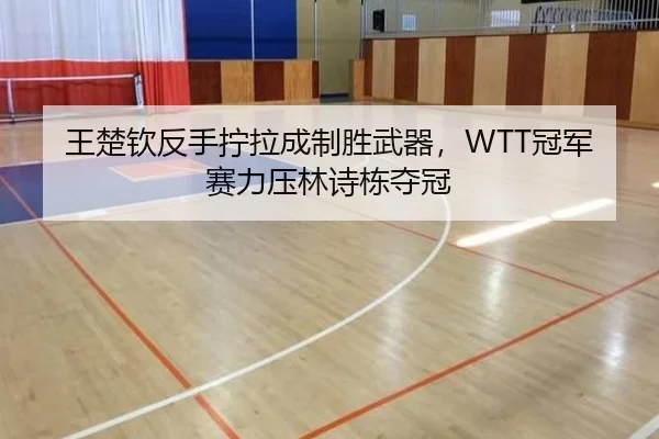 wang-chu-qin-fan-shou-ning-la-cheng-zhi-sheng-wu-qi-guan-jun-sai-li-ya-lin-shi-dong-duo-guan-3-451.jpg
